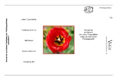 Vario-Fruehlings-Elfchen-10.pdf